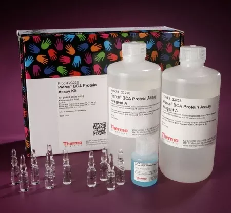 Fisher Scientific Reagent Kit Pierce BCA General Chemistry Total Protein For Microplate Reader and Spectrophotometer 500 Tests (Tube) / 5,000 Tests (Microplate) R1: 1 Liter / R2: 25 mL - M-1020991-1206 | Each