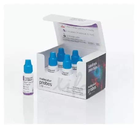 Fisher Scientific REAGENT, MOLECULAR PROBE NUCBLUE LIVE - M-1028495-3705 - Each