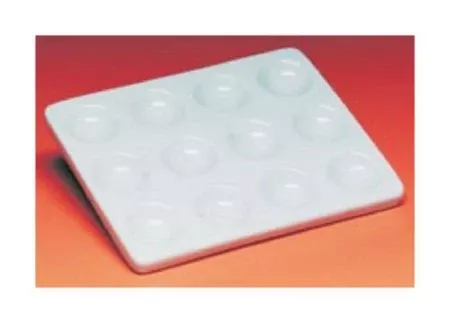 Fisher Scientific Spot Plate Porcelain - M-1057030-2900 - Each