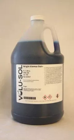 Fisher Scientific STAIN, WRIGHT GEMSA GL - M-972777-2015 - GL/1