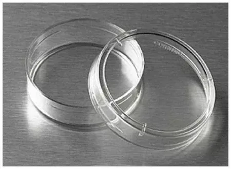Fisher Scientific Tissue Culture Dish Corning™ Polystyrene - M-927122-4583 - Case of 500