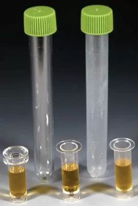 Fisher Scientific Tubes-R-Us™ Test Tube Round Bottom Plain 13 X 100 mm 8 mL Green Screw Cap Polystyrene Tube - M-531820-3049 - Pack of 1