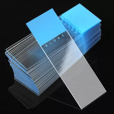 Globe Scientific Microscope Slide Diamond White Glass 25 X 75 X 1 mm Blue Frosted End - M-1030849-822 - Case of 1440