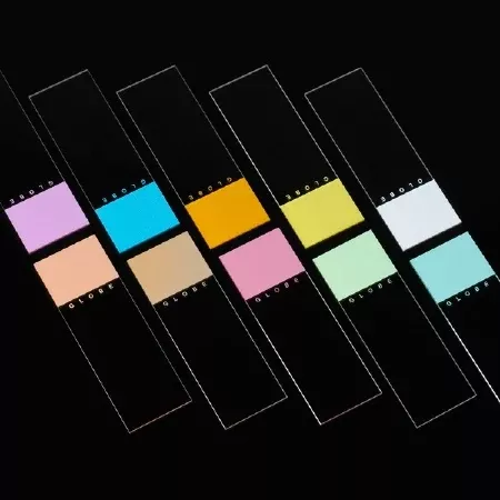 Globe Scientific Microscope Slide Diamond White Glass 25 X 75 X 1 mm White Frosted End - M-907518-2189 - Case of 1440