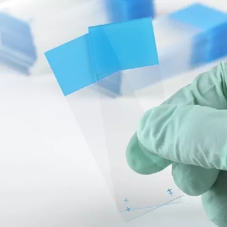 Globe Scientific Microscope Slide Diamond White Glass Charged 25 X 75 X 1 mm Pink Frosted End - M-883981-4657 - Case of 1440