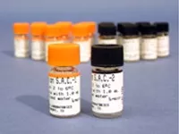 Helena Laboratories Homeostasis Control S.A.C.-2 Multiple Analytes Abnormal Level 10 X 1 mL - M-896238-2460 - Box of 1