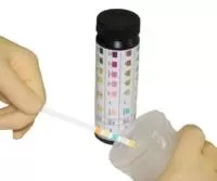 LW Scientific Reagent Strip Bilirubin, Blood, Glucose, Ketone, Leukocytes, Nitrite, pH, Protein, Specific Gravity, Urobilinogen 100 per Bottle - M-526165-1706 | VL/1