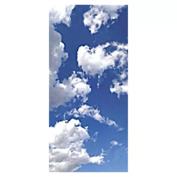Medline IndustriesDiffuser Fluorescent Light Sky-Scapes 23-3/4x47-3/4" 1/Ca