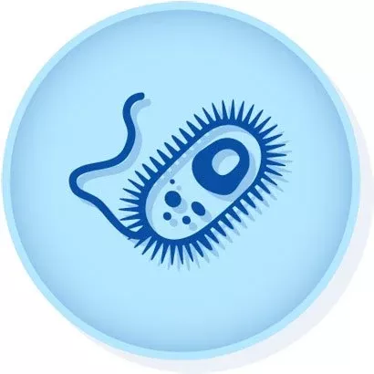 Microbiologics Inc CONTROL, E COLI ATCC 35218 D/S - M-1149183-3646 | Each