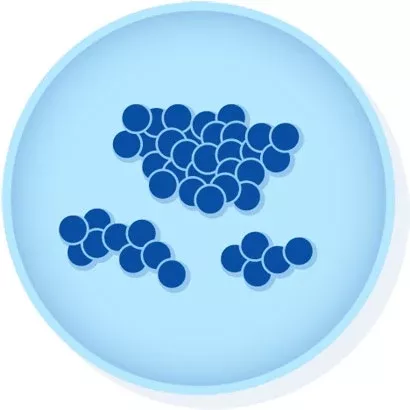 Microbiologics Inc CONTROL, STAPHYLOCOCCUS AUREUSDERIVED FROM ATCC 25923 D/S - M-1152853-4473 | Each