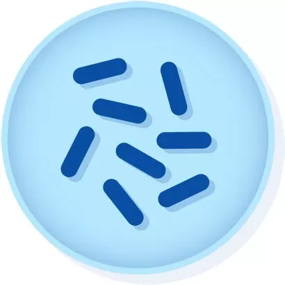 Microbiologics Inc DISK, LYFO CORYNEBACTERIUM PSEUDODIPHTHERITICUM ATCC 10701 D - M-1112432-2993 | Each