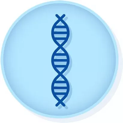 Microbiologics Inc Molecular Diagnostic Control Norovirus GI.1 Synthetic RNA - M-1079062-4764 | Each