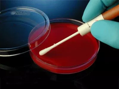 Microbiologics Inc Quality Control Organism Kwik-Stik Streptococcus Agalactiae, ATCC 13813 Lyophilized Pellet 6 Swabs Non-selective Sheep Blood Agar - M-931041-4224 | Pack of 1