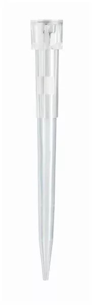 Molecular BioProducts Pipette Tip ClipTip™ 200 µL Without Graduations Sterile - M-1170835-1970 - Case of 960