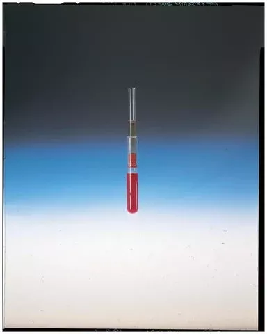 PANTek Technologies LLC Serum Filter IB™ Model 1/2 X 2-3/4 Inch For Glass, Plastic Collection Tubes - M-1008161-4407 - Pack of 100