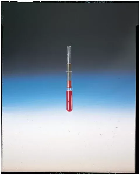 PANTek Technologies LLC Serum Filter IB™ Model 3/5 X 2-3/4 Inch For Glass, Plastic Collection Tubes - M-1008158-282 - Pack of 100