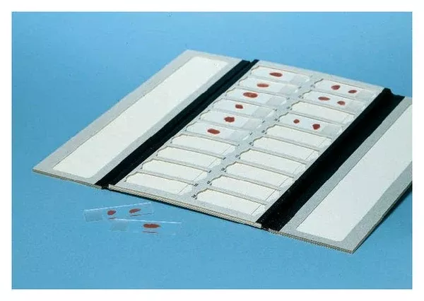 PANTek Technologies LLC Slide Tray 9 X 208 X 341 Inch, Black For Standard 25 X 75 mm 20 Slides - M-958611-2068 - Case of 72