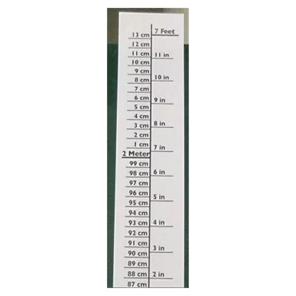 Pedia PalsChart Height Laminated Vinyl 7' Ea
