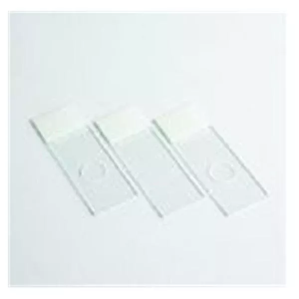 Richard-Allan Scientific CytoSlide Single Slide 100/Bx