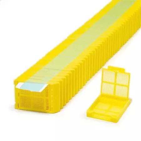 Simport Scientific Biopsy Cassette Micromesh™ Acetal Yellow - M-1113095-2563 - Case of 2000
