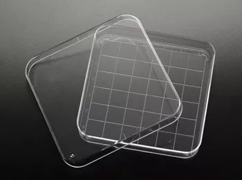 Simport Scientific Petri Dish Polystyrene - M-1035072-3002 | Case of 500