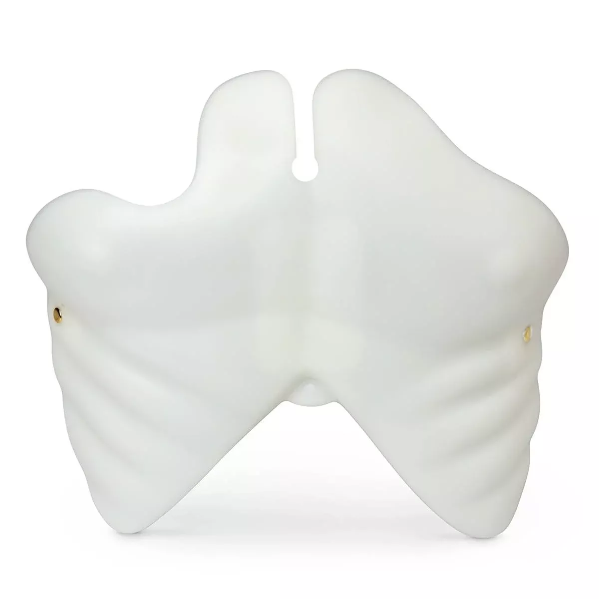 Simulaids Chest Plate Replacement Part Adult Ea
