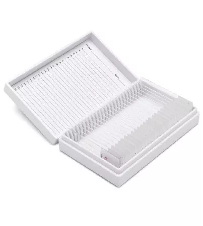 StatLab Medical Products Control Slide Amyloid - M-1012642-3522 | Box of 25