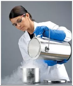 Thermo Fisher/Barnstead Liquid Nitrogen Container Thermo-Flask™ Benchtop Stainless Steel / Borosilicate Glass 1,000 mL (32 oz.) - M-1026120-3352 - Each