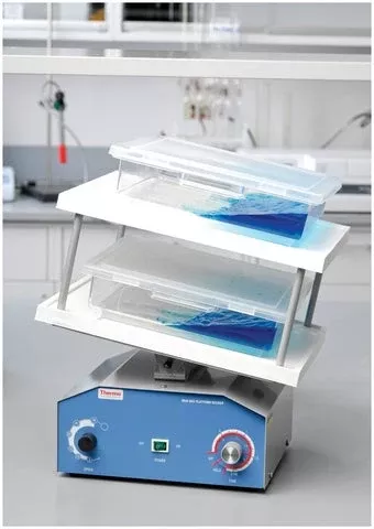 Thermo Fisher/Barnstead Platform Rocker Vari-Mix™ - M-1105026-1594 - Each