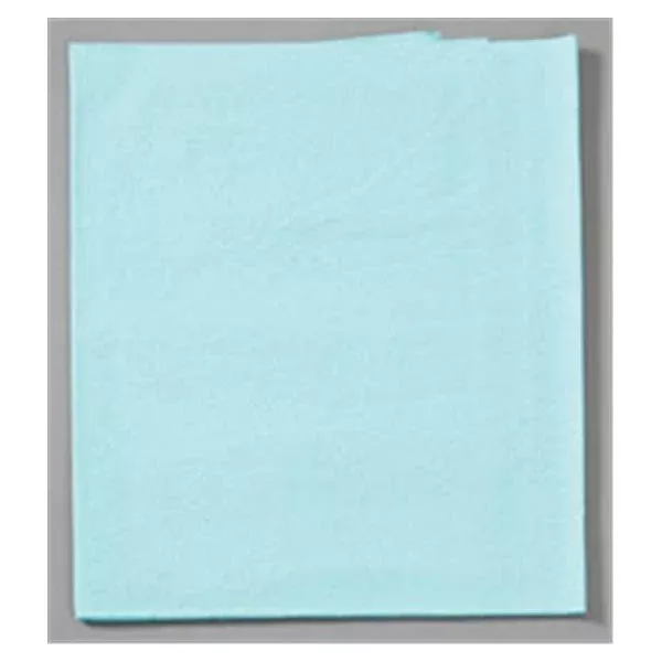 Tidi ProductsDrape Sheet Exam / Stretcher 40 in x 48 in Blue 2 Ply 100/CA