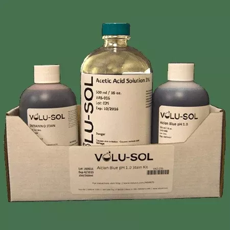 Volusol Inc Alcian Blue pH 1.0 Solution 1 Liter - M-970343-3152 - Case of 12