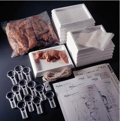 Ward's Science Fetal Pig Dissection Lab Set Preserved, 12 Students - M-1003348-3841 - Kit of 12