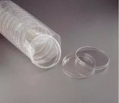 Ward's Science Petri Dish VWR - M-1087278-2055 - Box of 20