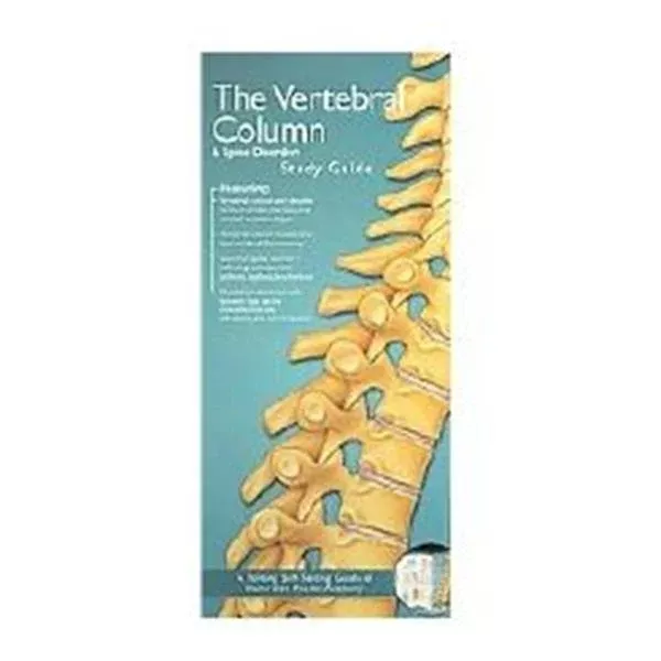 Wolters Kluwer HealthChart Anatomical Vertebral Column & Spine 8-1/2x11" Ea