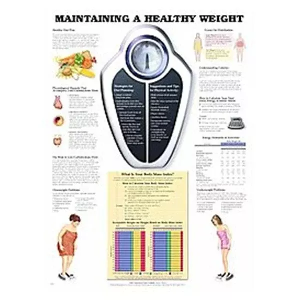 Wolters Kluwer HealthChart Educational Maintaining a Healthy Weight 20x26" EA