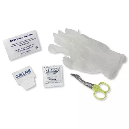 Zoll Medical Accessory Kit Shears, Disposable Prep Razor, Bio-barrier Face Shield, Antimicrobial Wipe, Dry Towel AED Plus, CPR-D Electrode Pads - M-691538-2976 | Each