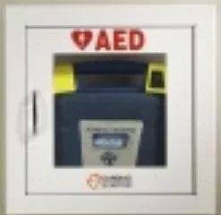Zoll Medical Wall Mount Cabinet Metal, Surface Mounted AED - M-688480-4058 | Each