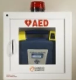 Zoll Medical Wall Mount Cabinet White, See Through Door, With Alarm, Strobe, Security Enabled AED - M-684049-4222 | Each