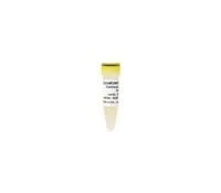 ZymoBIOMICS Microbial Community Standard 10 PrepsZymo D6300